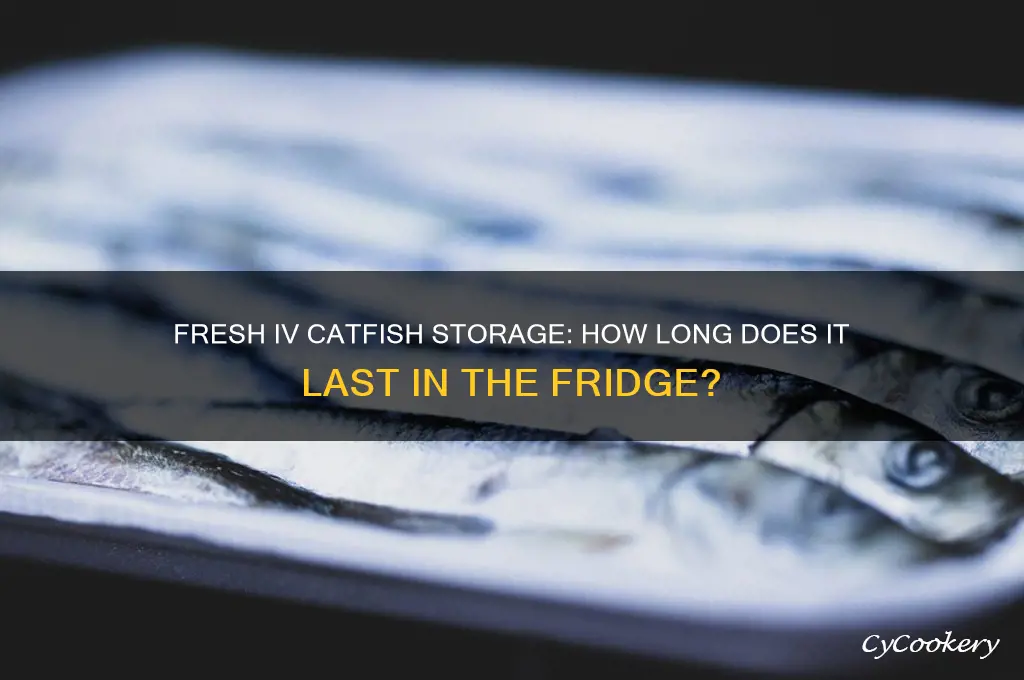 how many days can fresh iv catfish sit in refrigerator
