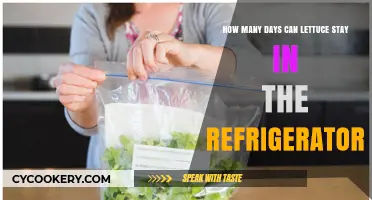 Maximizing Freshness: How Long Does Lettuce Last in the Fridge?
