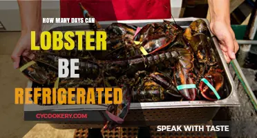 Refrigerating Lobster: Optimal Storage Time and Freshness Tips