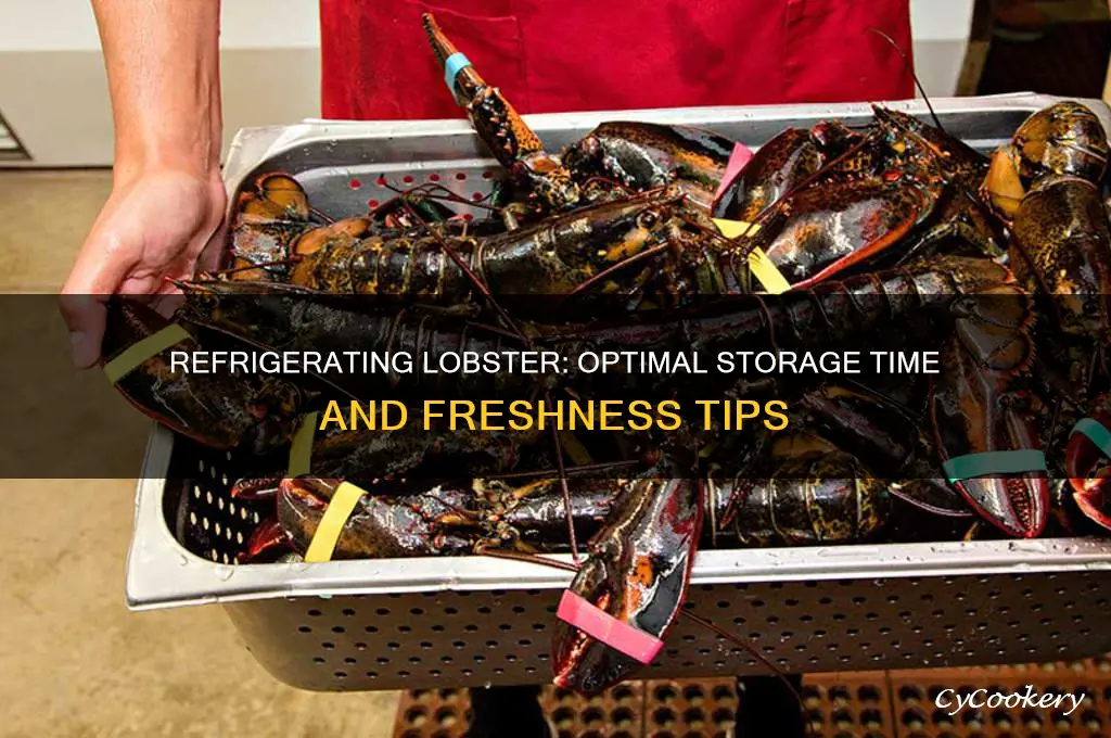how many days can lobster be refrigerated