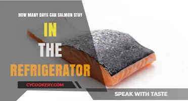 Freshness Guide: How Long Can Salmon Safely Stay Refrigerated?