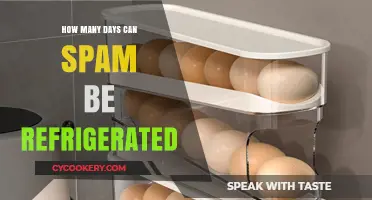 Refrigerating Spam: Safe Storage Duration and Tips for Freshness