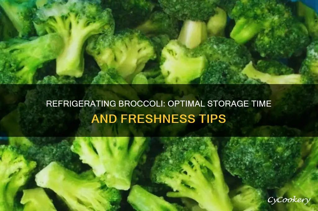 how many days can we refrigerate broccoli