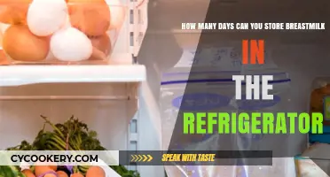 Breast Milk Storage Guide: Refrigerator Shelf Life Explained