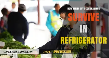 Coronavirus Survival: How Long Does It Last in Your Fridge?