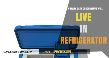Coronavirus Survival: How Long Does It Live in Your Fridge?