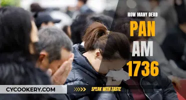 Tragic End of Pan Am 1736: How Many Lost?
