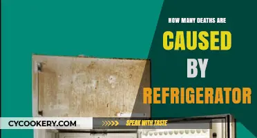 Chilling Truth: Refrigerator-Related Fatalities and Safety Concerns