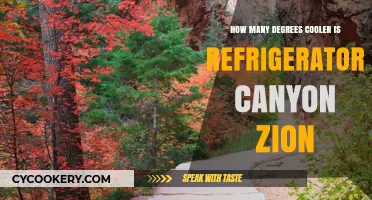 Refrigerator Canyon Zion: Unveiling Its Cooler Temperature Difference