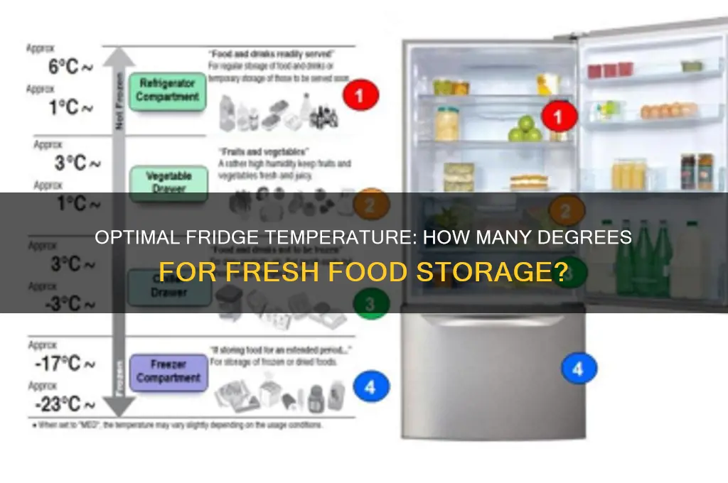how many degrees should a refrigerator be