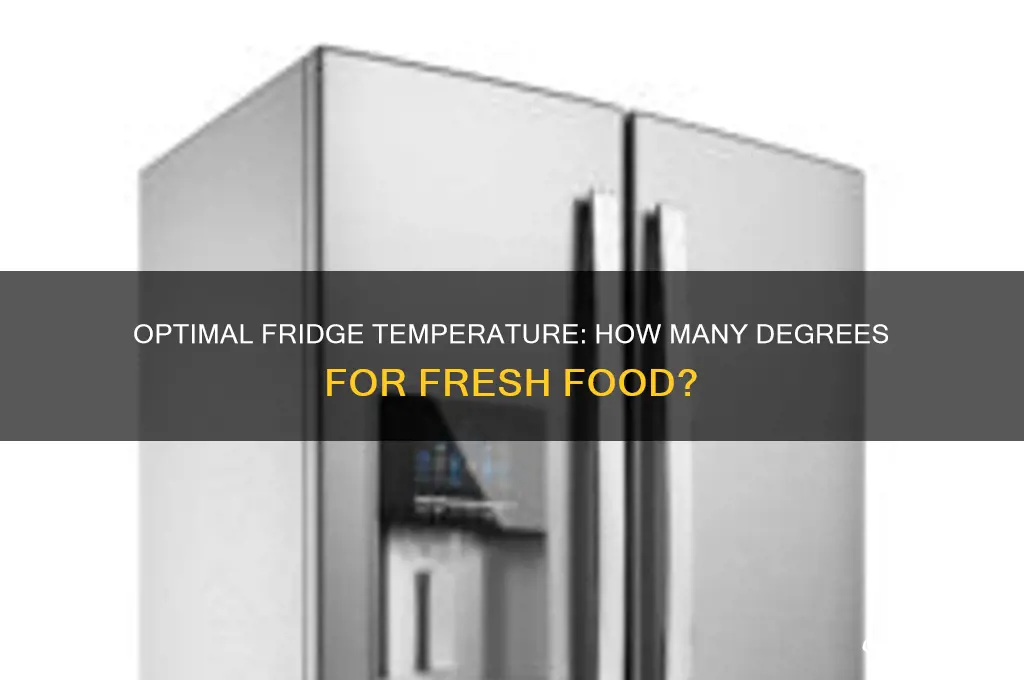 how many degrees should my refrigerator be
