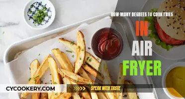 Frying Fries: Air Fryer Temperature Tips and Tricks
