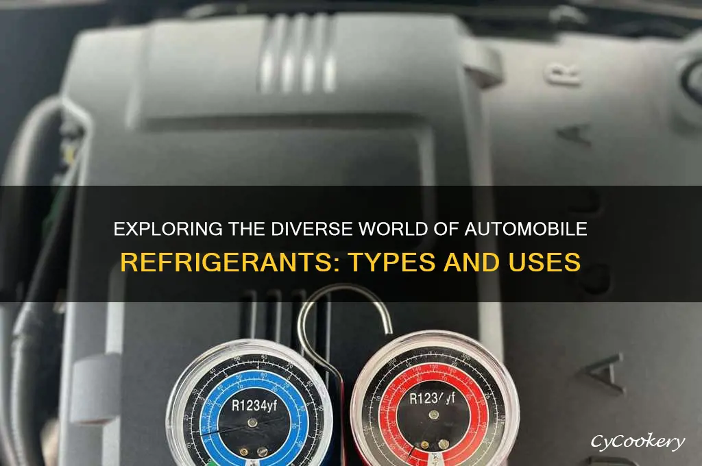 how many different types of automobile refrigerant are there