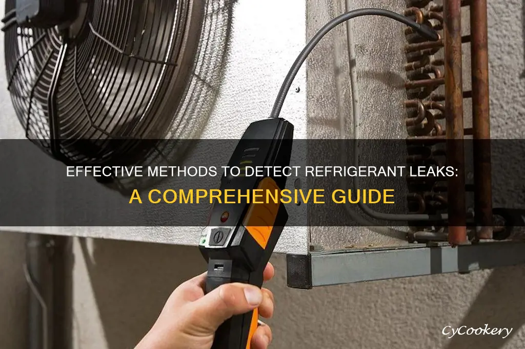 how many different ways can you test for refrigerant leak