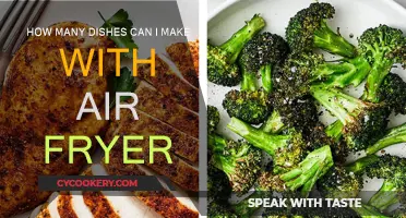 Creative Air Fryer Recipes: Endless Dish Possibilities