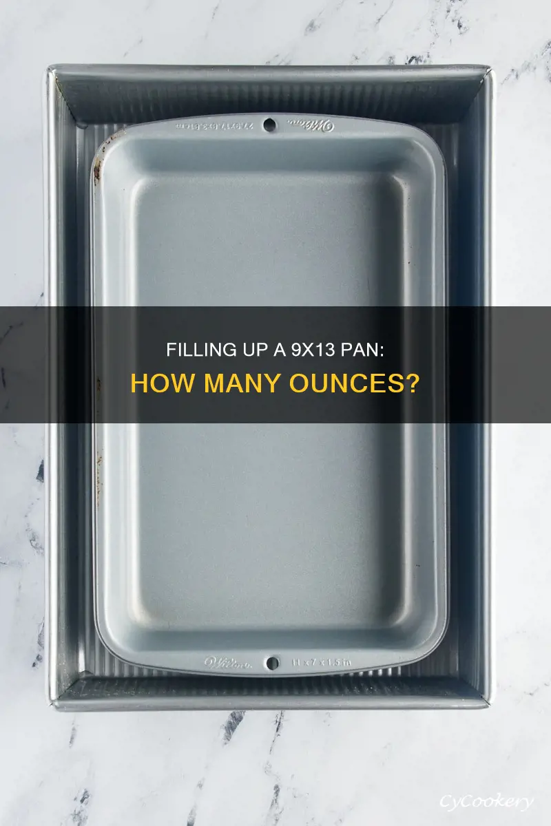 how many dry ounces fit in a 9x13 pan