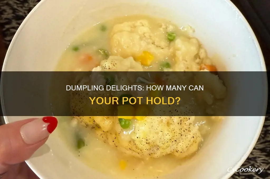 how many dumplings can I cook in one pot
