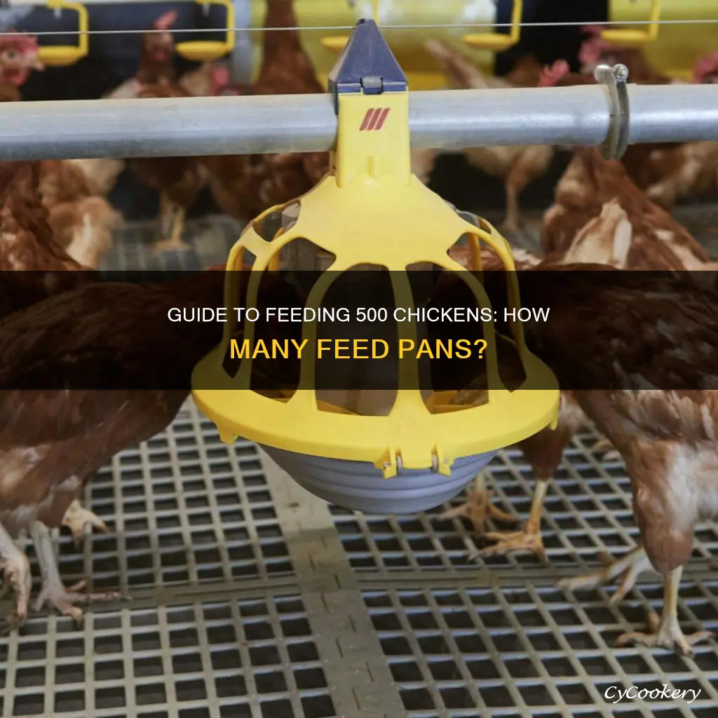 how many feed pan in 500 chichen house