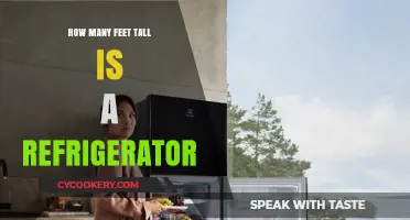 Refrigerator Height Guide: How Tall Are Standard Fridges in Feet?