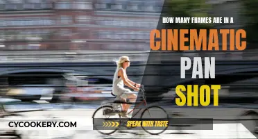 Cinematic Pan Shots: Understanding Frame Counts