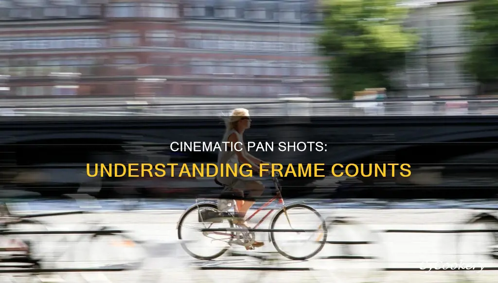 how many frames are in a cinematic pan shot