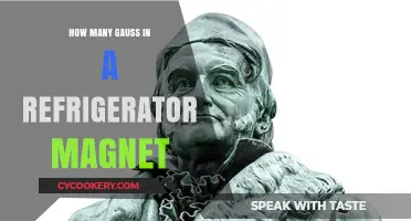 Understanding the Magnetic Strength of a Standard Refrigerator Magnet