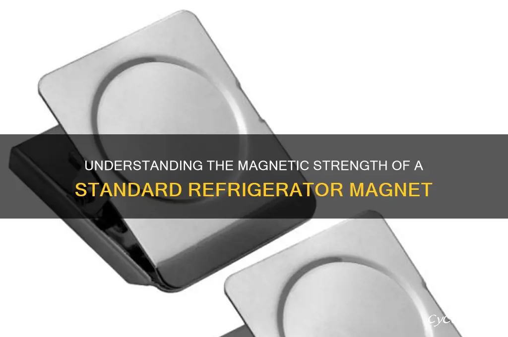 how many gauss in a refrigerator magnet