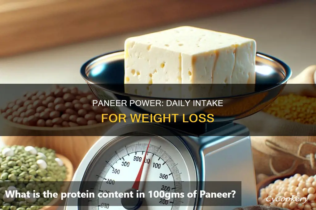 how many gm of paneer can take on day 5