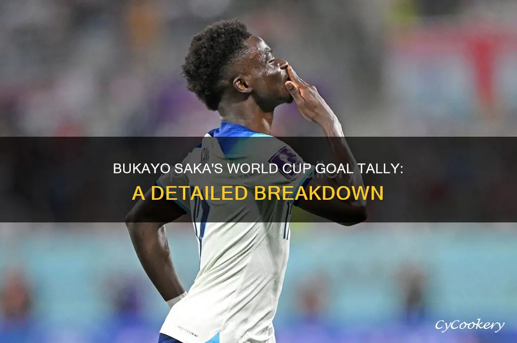 how many goals did saka scored in the world cup