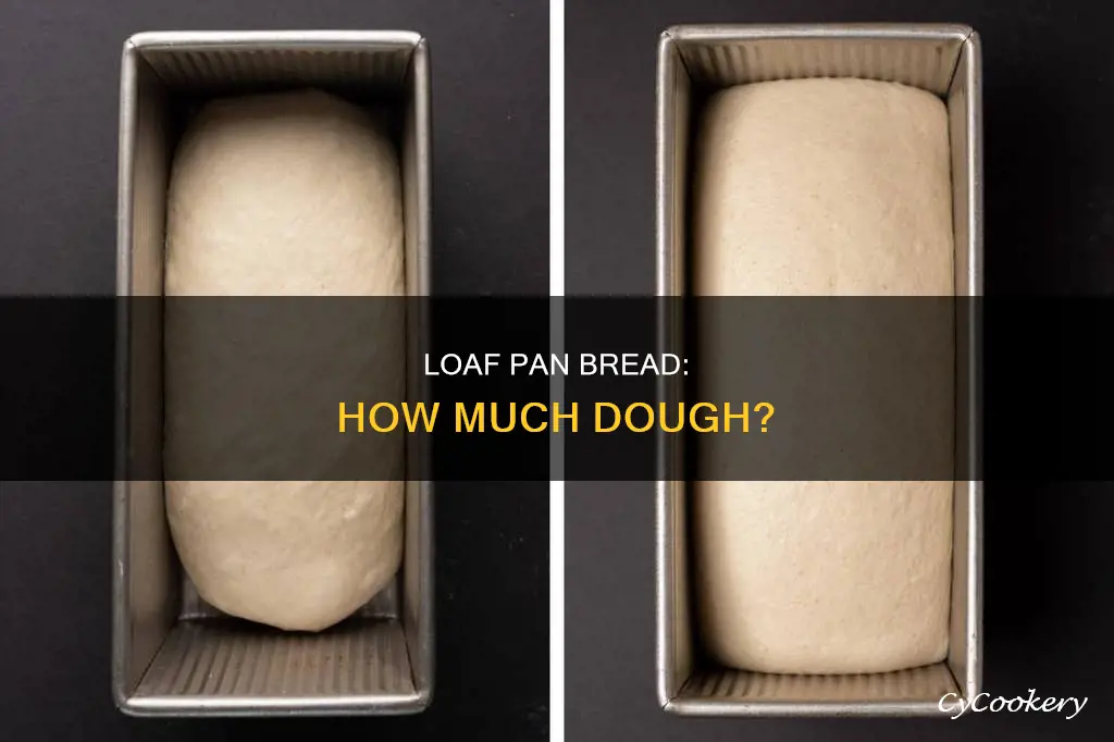 how many grams of bread dough in a loaf pan