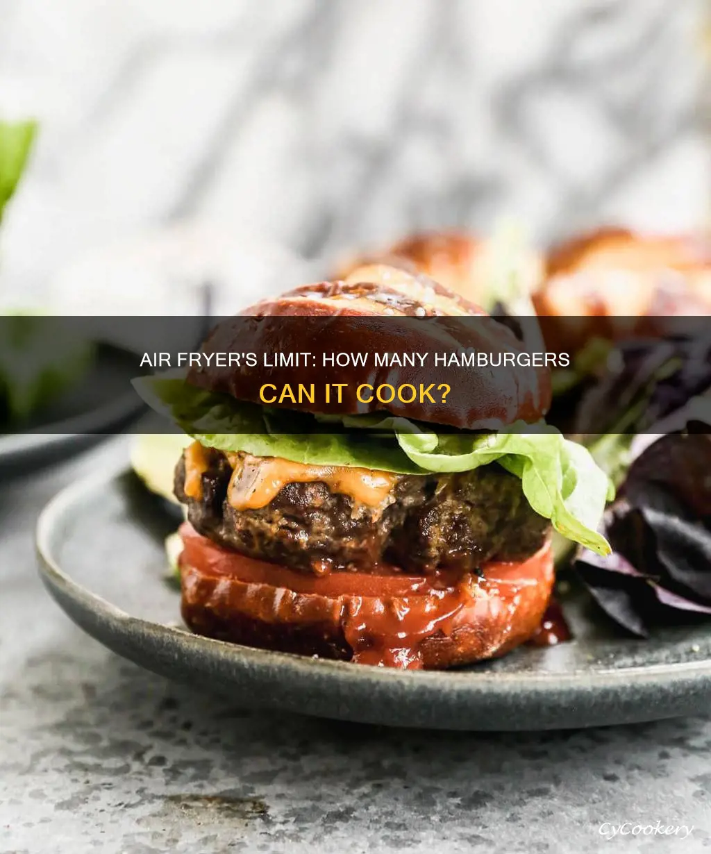 how many hamburgers can i cook on and air fryer