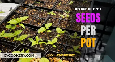 Potting Pepper Seeds: The Right Ratio for Spicy Success