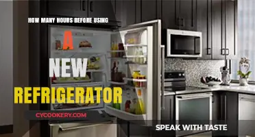 New Fridge Setup: Essential Waiting Time Before First Use