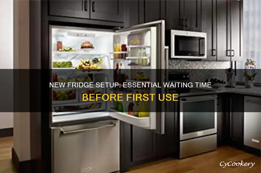 how many hours before using a new refrigerator