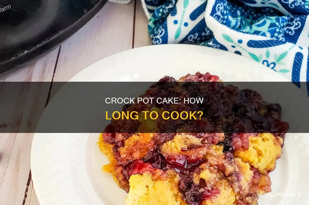 how many hours to cook a cake in crock pot