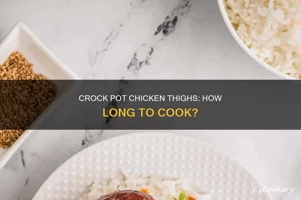 how many hours to cook chicken thighs in crock pot