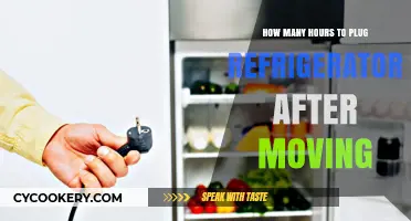 Proper Refrigerator Plugging Time After Moving: Essential Tips and Guidelines