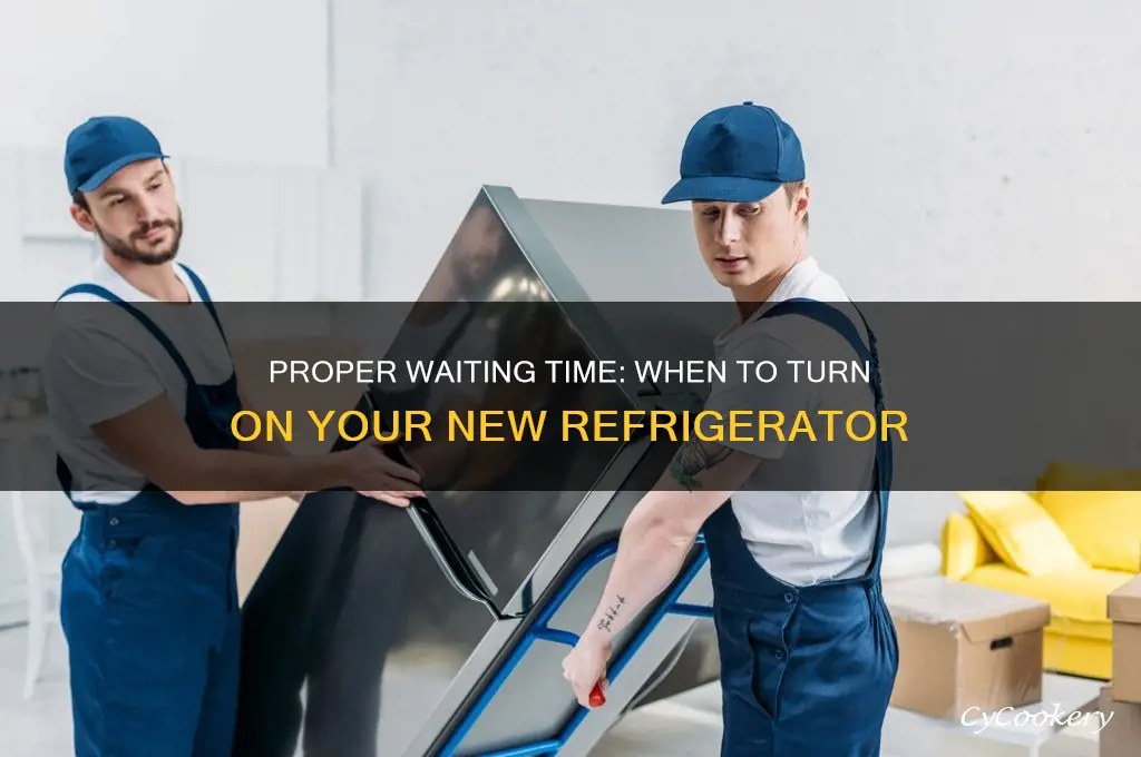 how many hours to turn on refrigerator after delivery