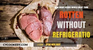 Meat Spoilage Timeline: How Long Before It Turns Rotten Without Refrigeration?