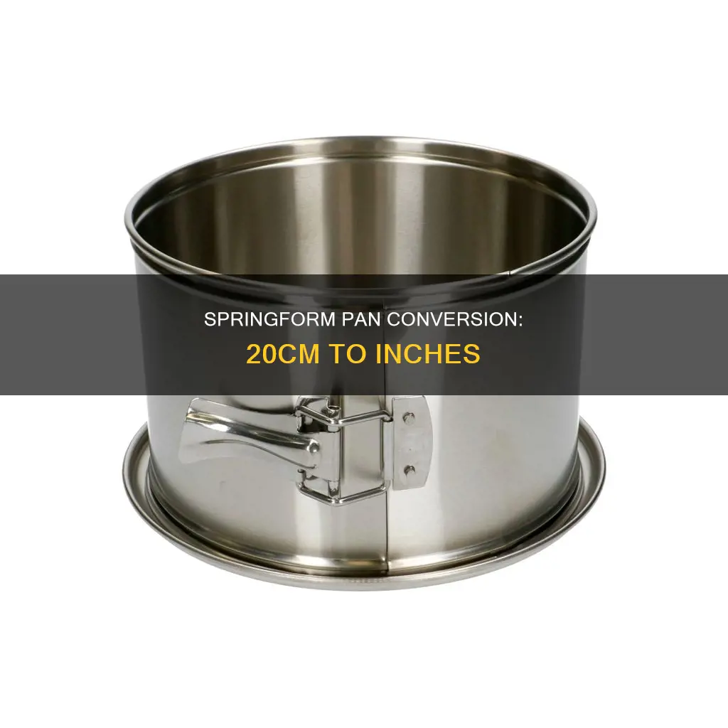 how many inches is a 20cm springform pan