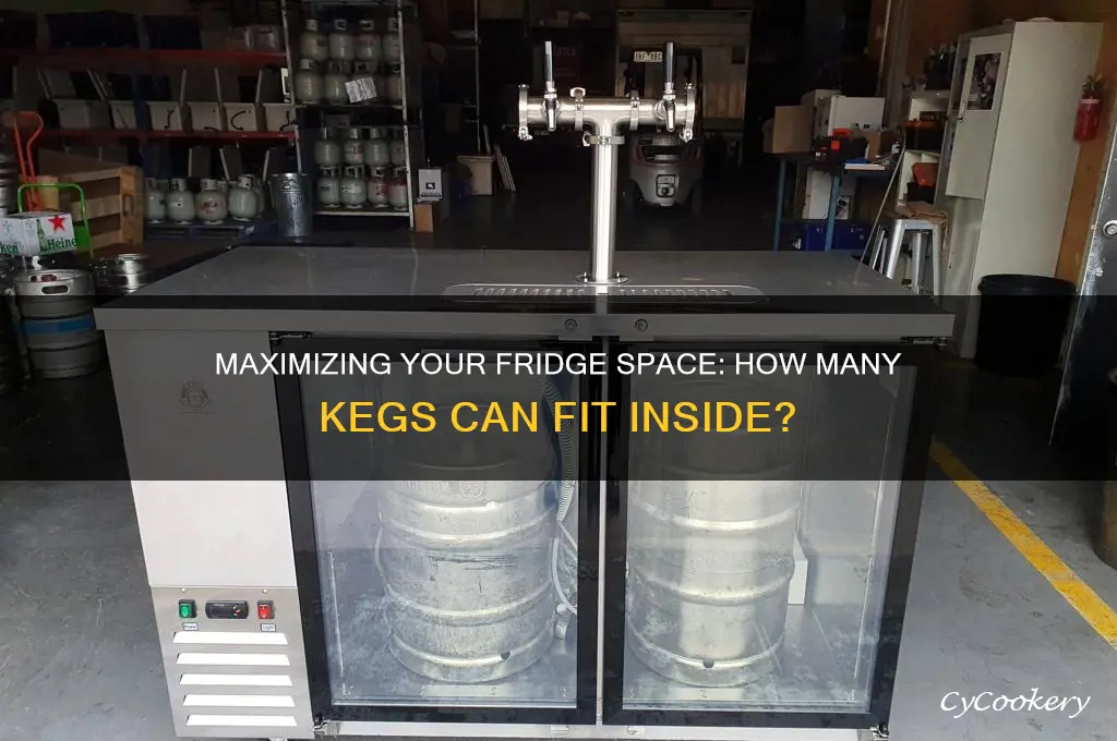 how many kegs can i put in my refrigerator