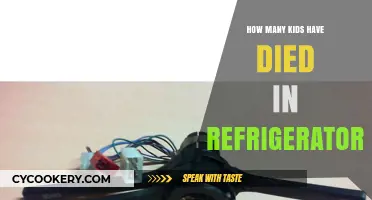 Preventing Tragedies: Child Deaths in Refrigerators and Safety Measures