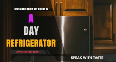 Daily Energy Consumption: How Many Kilowatt-Hours Does Your Refrigerator Use?