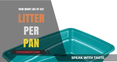 Cat Litter Pan: How Much Litter to Use?