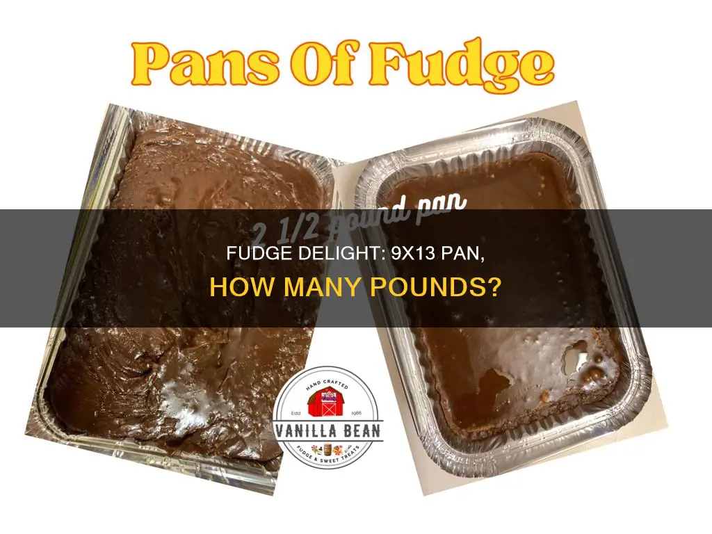how many lbs of fudge in a 9x13 pan