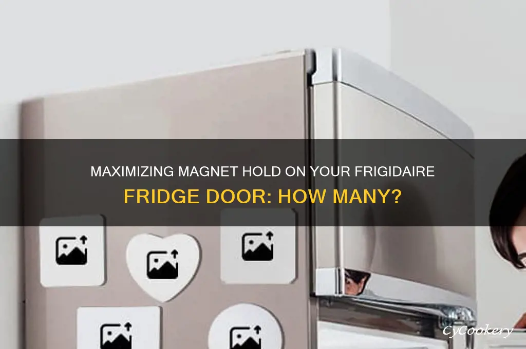 how many magnets on door of frigidaire refrigerator