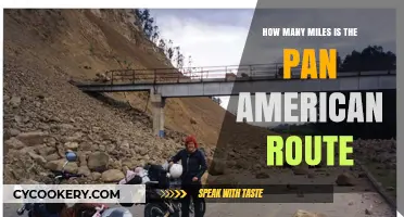 Exploring the Pan-American Route: Miles of Adventure
