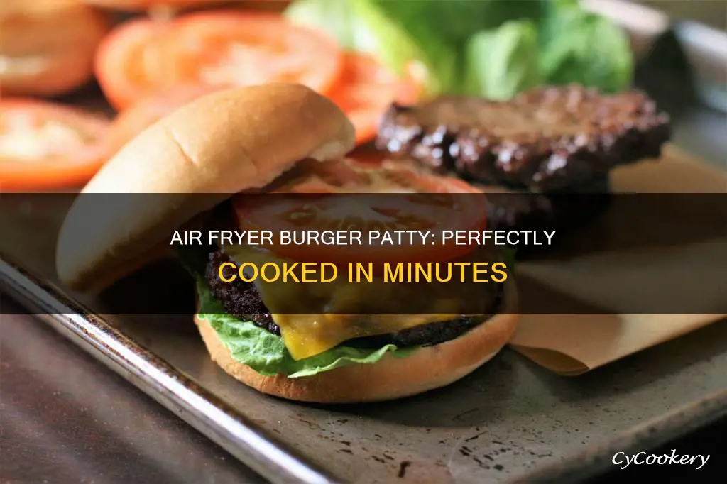 how many minutes to cook burger patty in air fryer