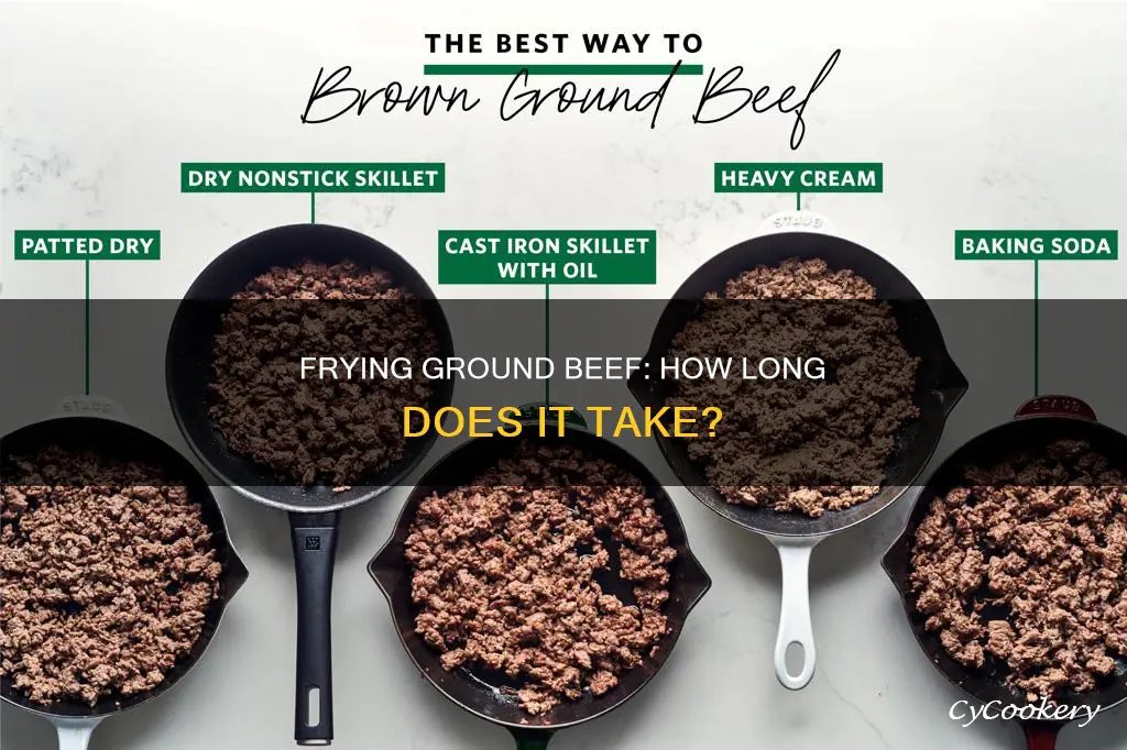 how many minutes to cook griund beef in fryer