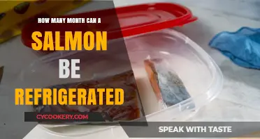 Refrigerating Salmon: Optimal Storage Time and Safety Tips